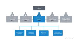 Estructura de l'organització